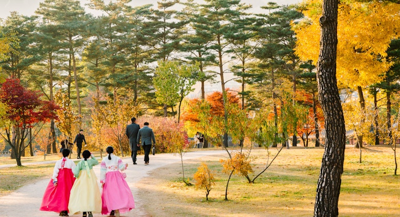 Three women in traditional Korean gowns walk through a park filled with red and yellow autumn trees.
