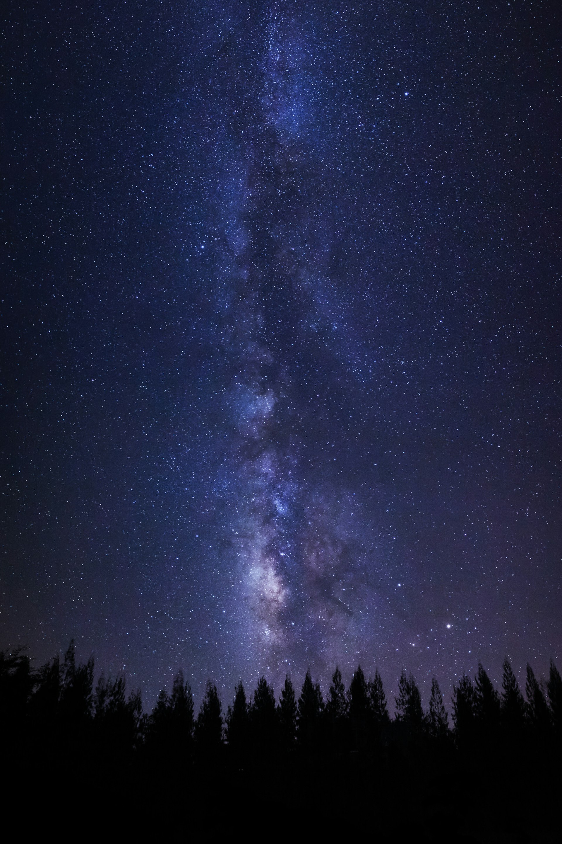The Milky Way above a forest silhouette