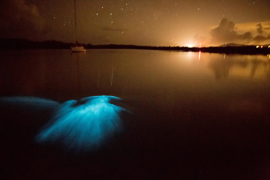 Bioluminescence in Mosquito Bay, Vieques, Puerto Rico