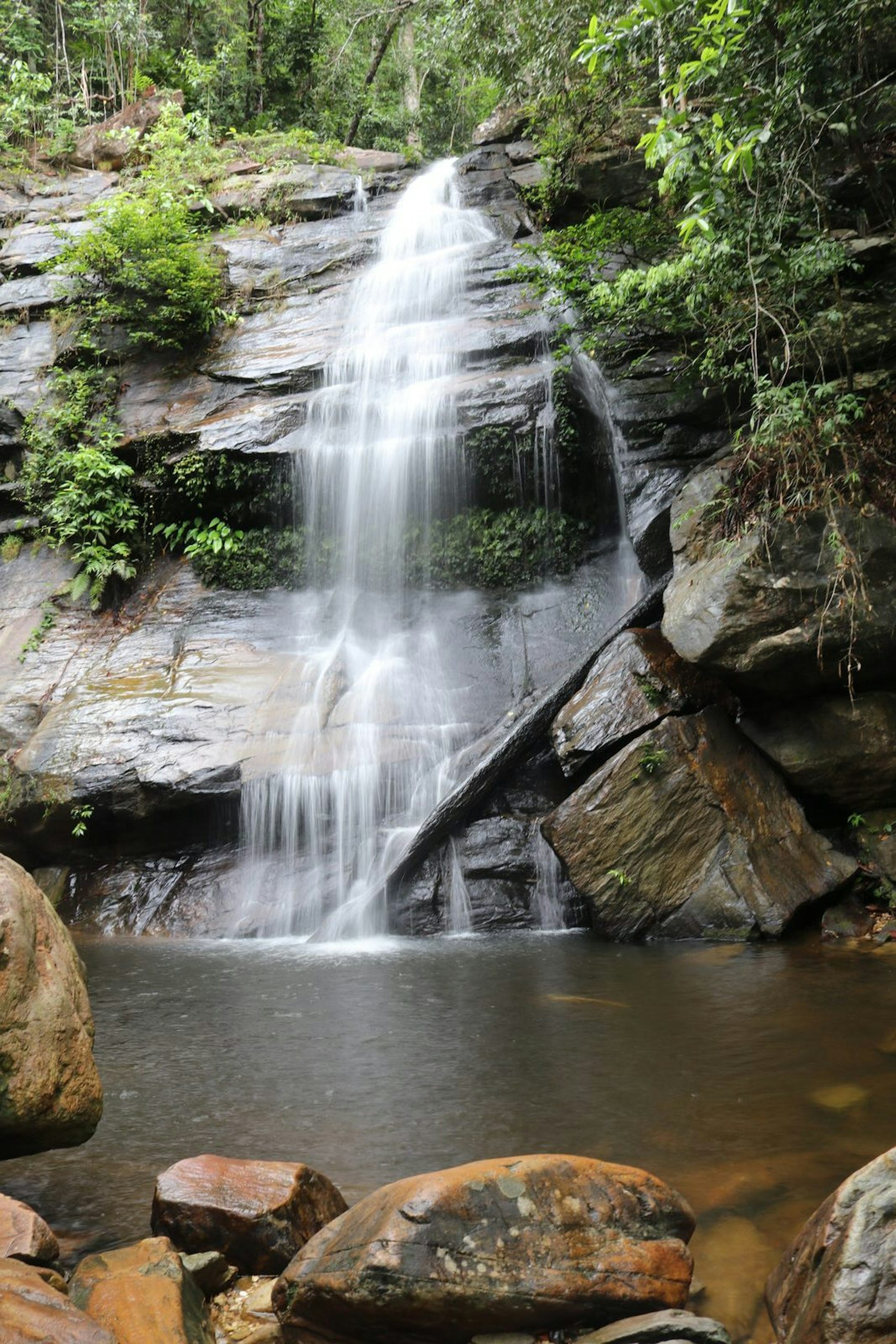 A stream of water rushes down slick rockface, surrounded by lush, green foliage. Bigaho Falls in Port Barton is just one of the many beautiful waterfalls here © Greg Bloom/Lonely Planet