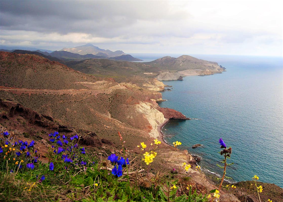 Andalucía's top six parks for nature lovers Lonely Planet