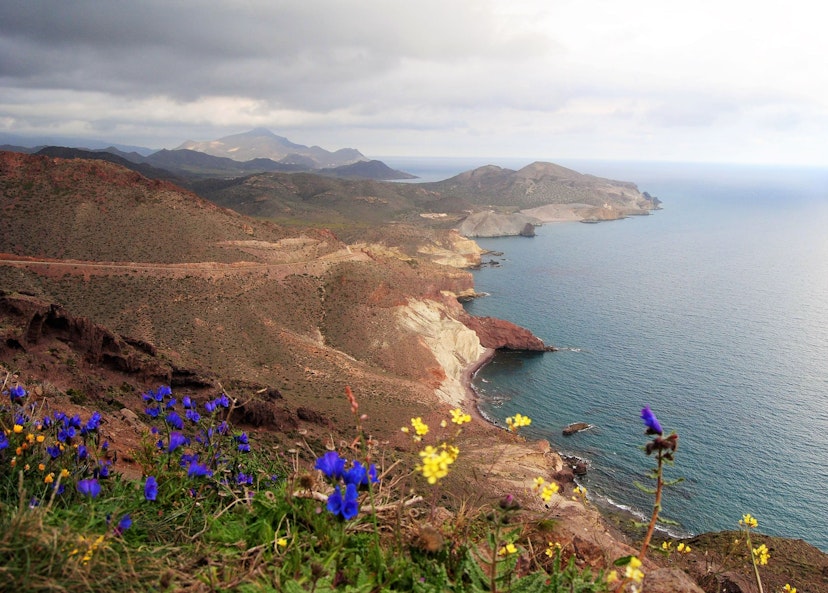 Early spring flowers on the stark Cabo de Gata coastline, seen from Torre Vigía Vela Blanca in the Parque Natural de Cabo de Gata-Níjar
