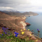 Early spring flowers on the stark Cabo de Gata coastline, seen from Torre Vigía Vela Blanca in the Parque Natural de Cabo de Gata-Níjar