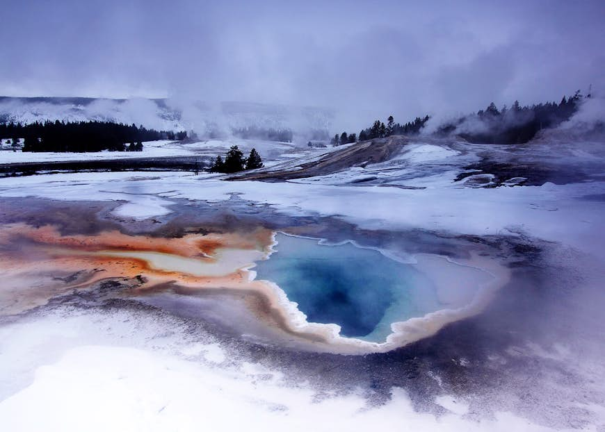 A wintry scene near Old Faithful in Yellowstone National Park