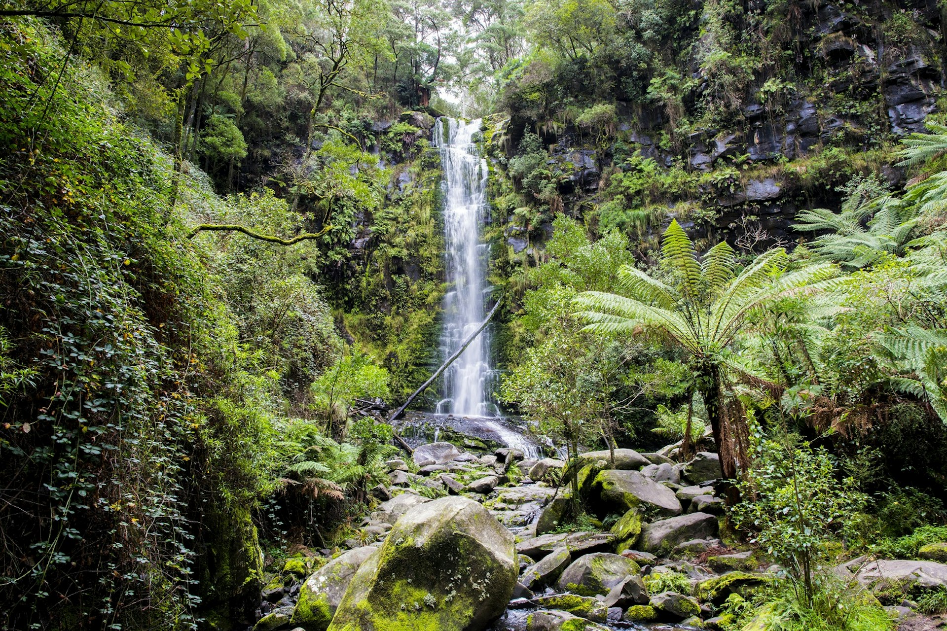 Erskine Falls near Lorne Australia