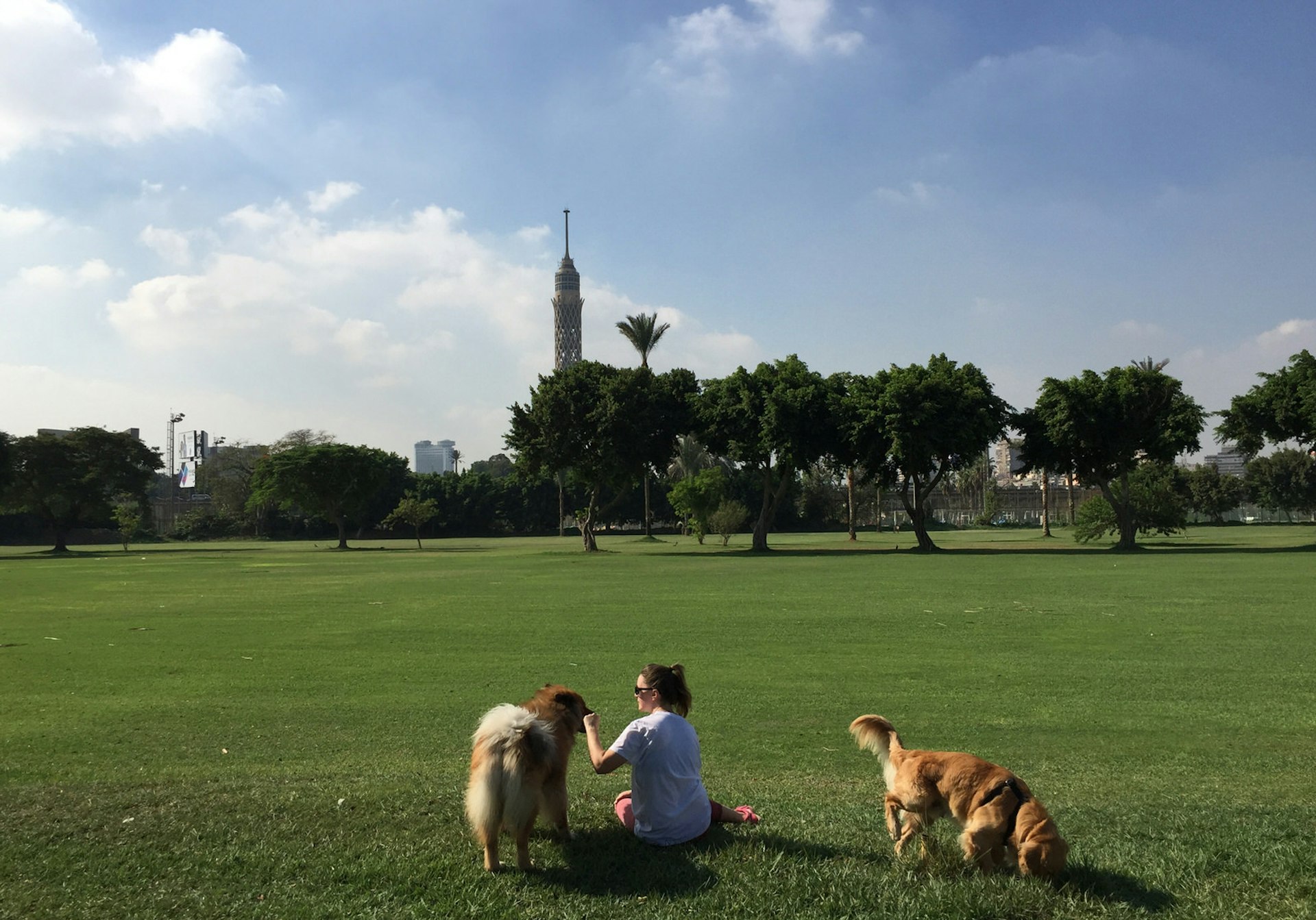 Lonely Planet Local Leah Bremer with her dogs at Gezira Sporting Club, Cairo, Egypt