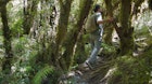 Features - Chile, Patagonia, Parque Pumalin, man hiking in forest