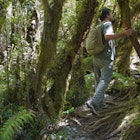 Features - Chile, Patagonia, Parque Pumalin, man hiking in forest