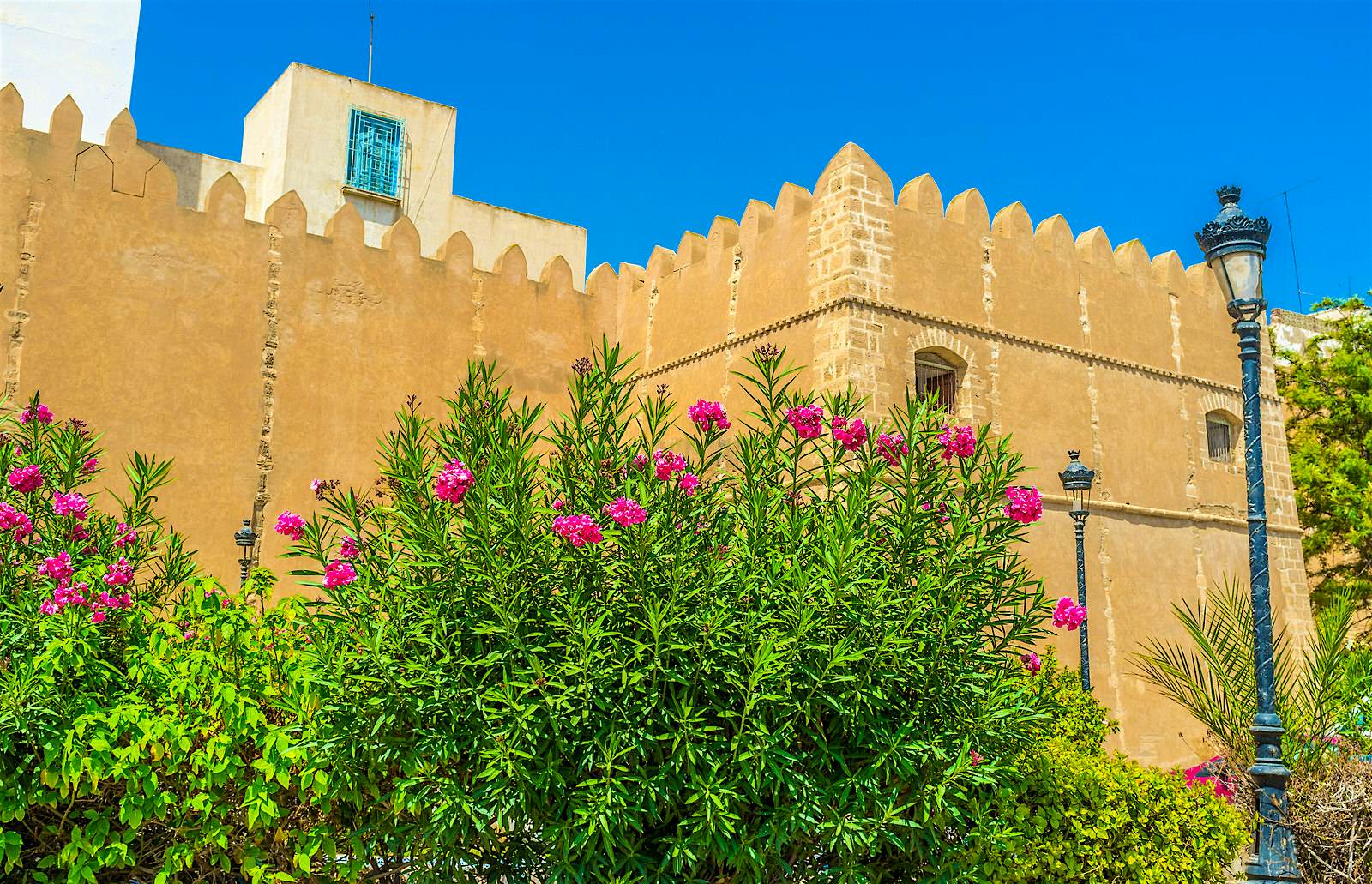 Top Things To Do In Sfax S Historic Medina Lonely Planet