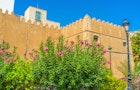 Features - The garden in Sfax