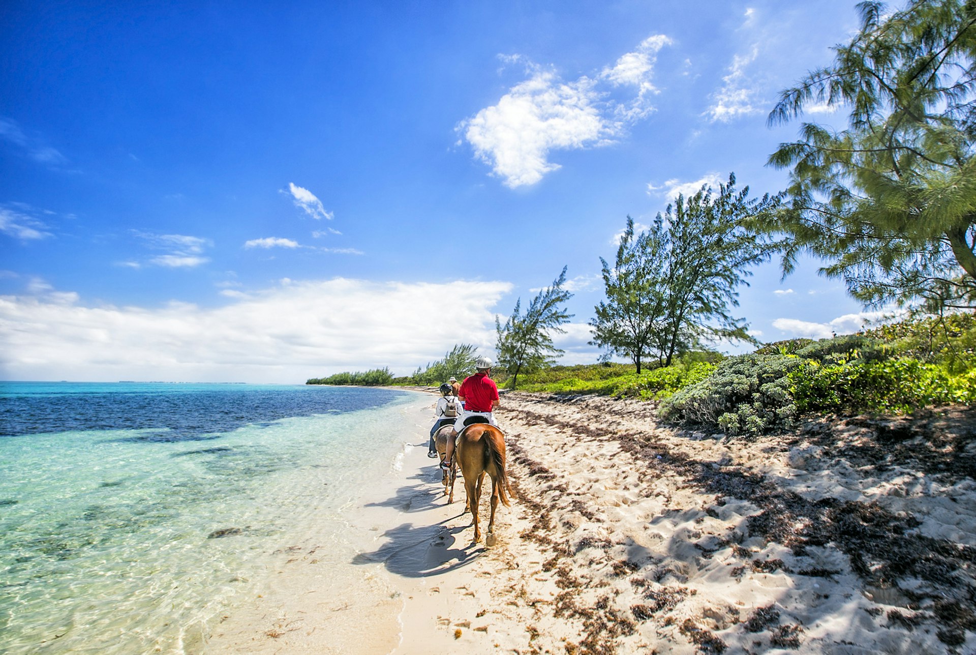 People riding on horse back at the Caribbean beach. Grand Cayman.; Shutterstock ID 342932357; Your name (First / Last): Alexander Howard; GL account no.: 65050; Netsuite department name: Online Editorial; Full Product or Project name including edition: The best experiences in the Cayman Islands