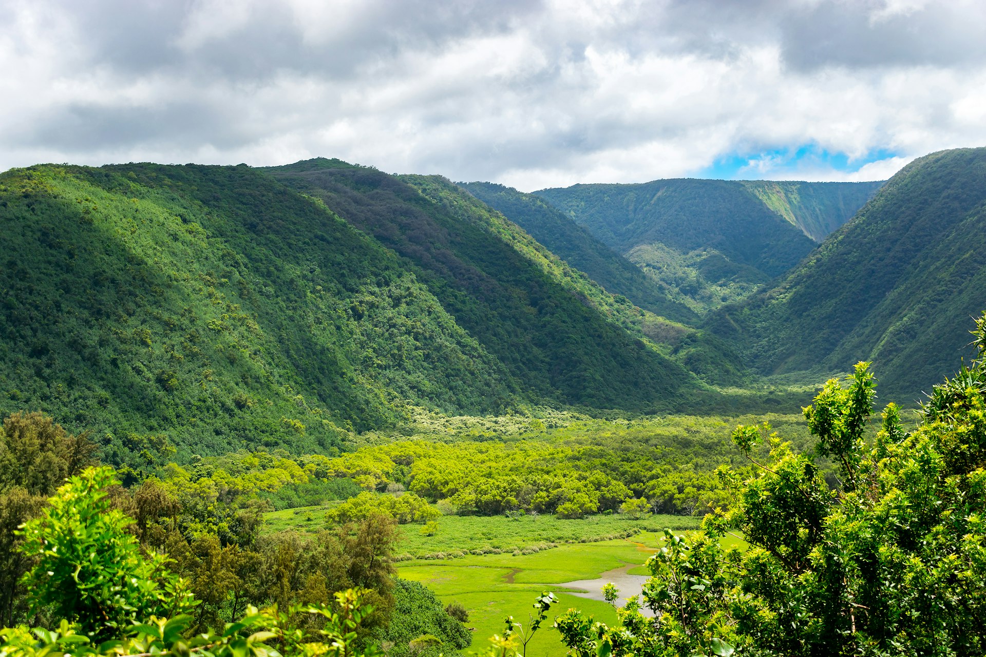 The lush, green mountains of the Pololū Valley, Hawaii