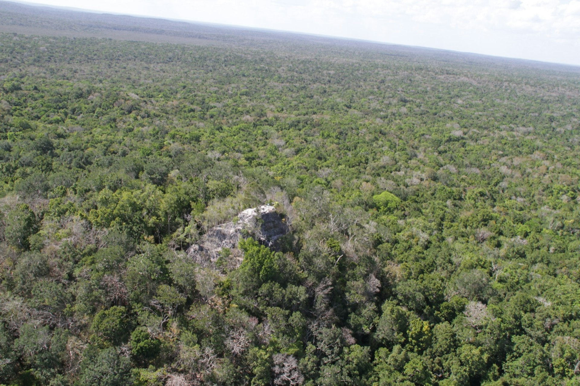 The tip of La Danta, a Mayan pyramid located in Guatemala, sticks out above the tree line in the El Peten Jungle © Ray Bartlett / Lonely Planet 