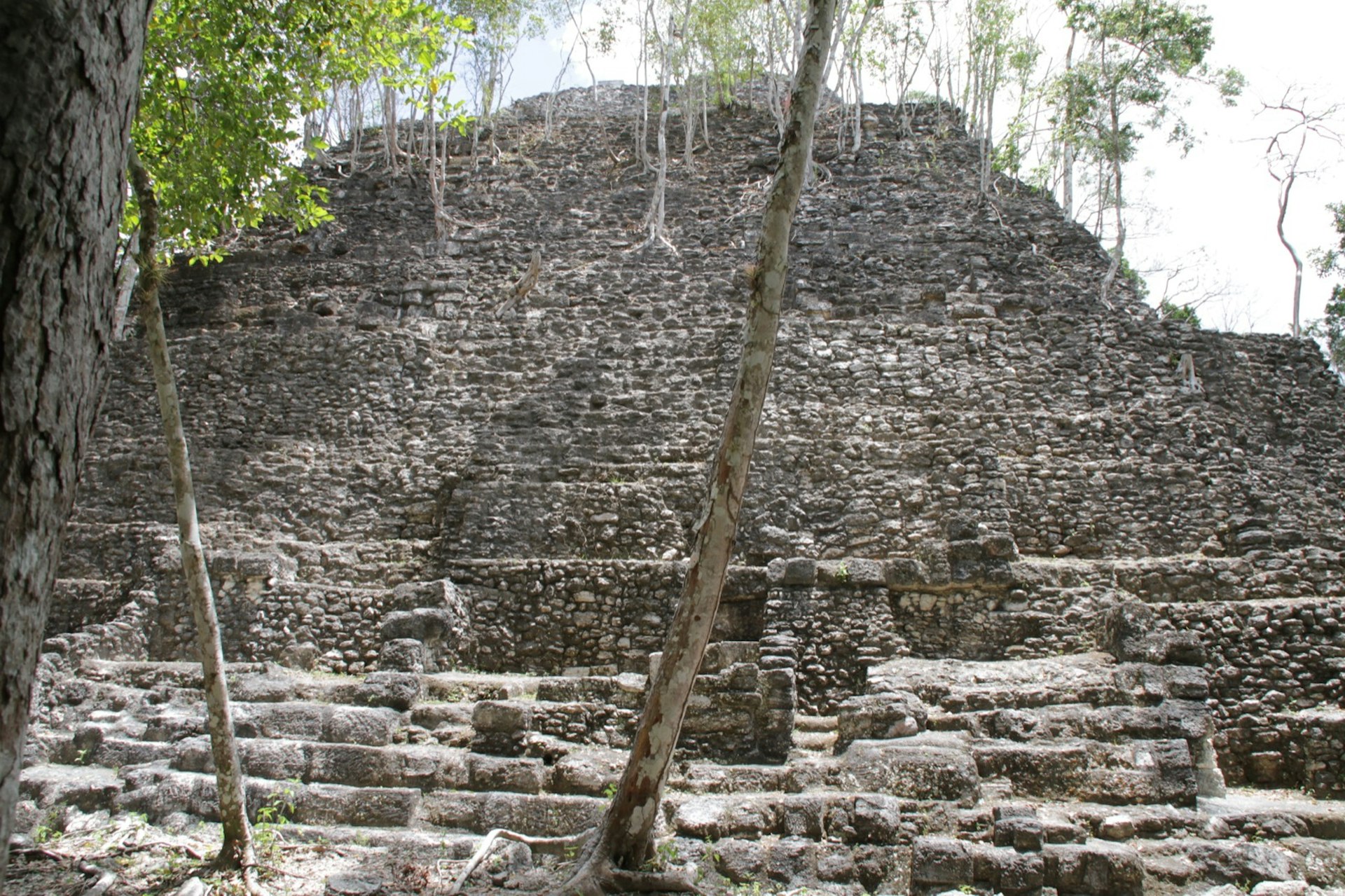A close of view of La Danta shows trees growing through the stone structure © Ray Bartlett / Lonely Planet 