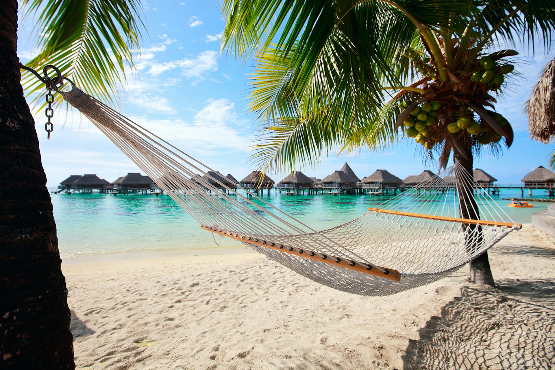 A hammock on a beach