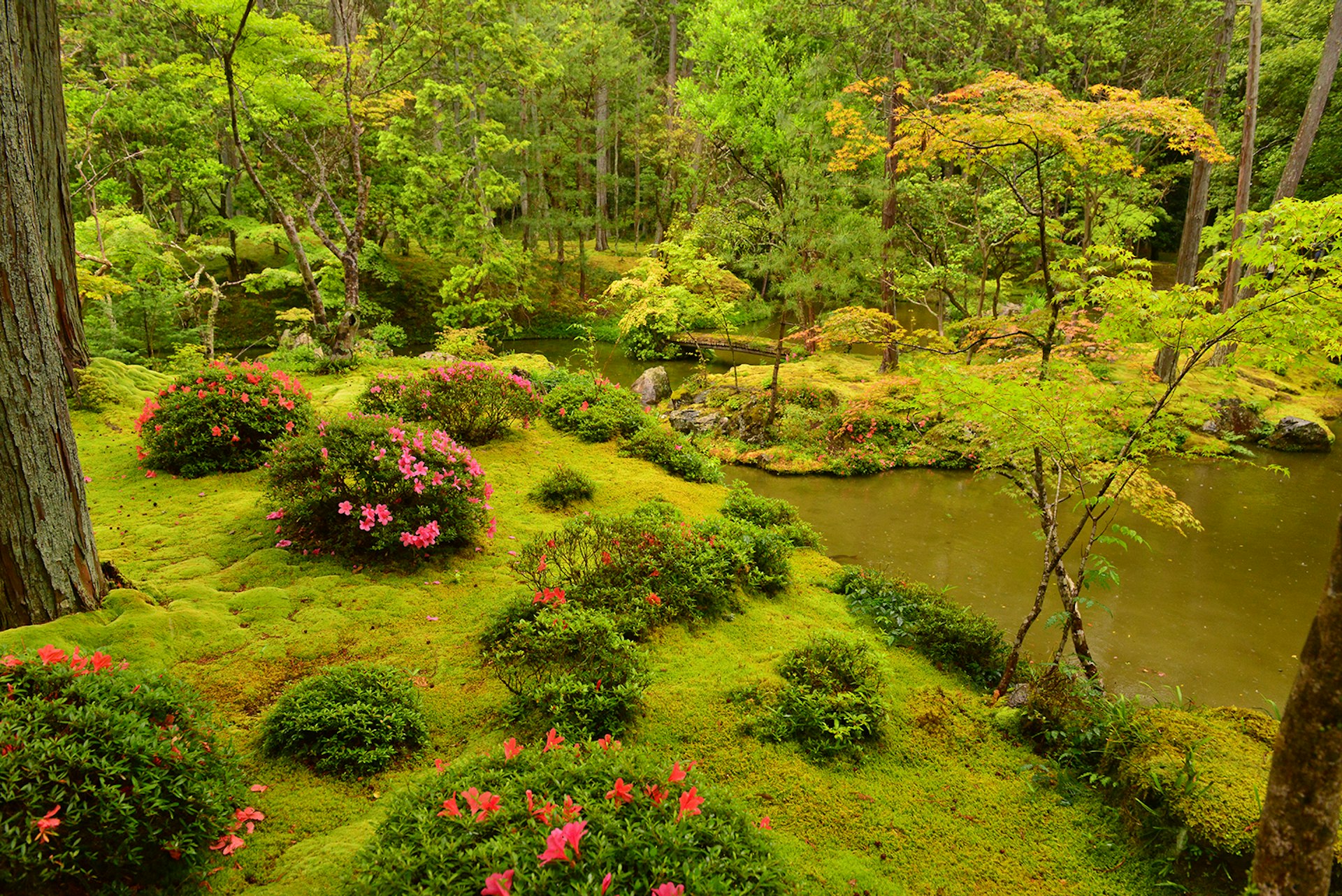 The landscape garden of Saihō-ji, Kyoto