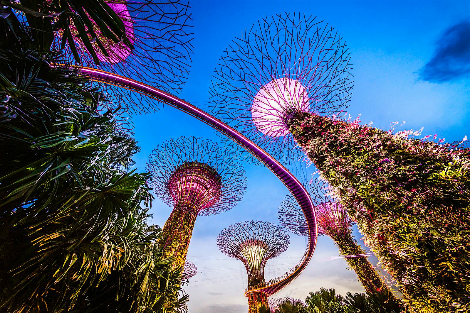 Earthly Delights The World S Best Botanical Gardens Lonely Planet