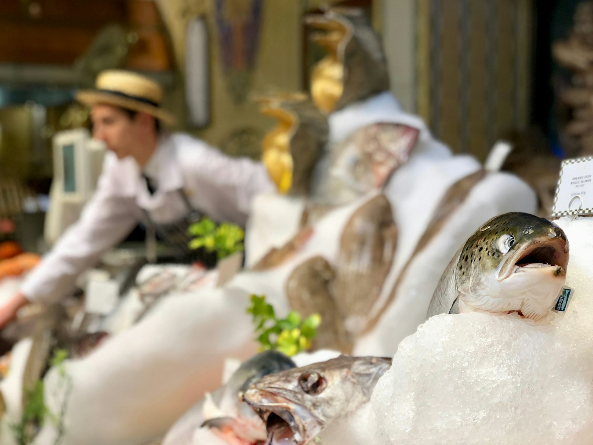 Fish displayed like works of art on ice by the Fishmonger at Harrods' Fresh Market Hall