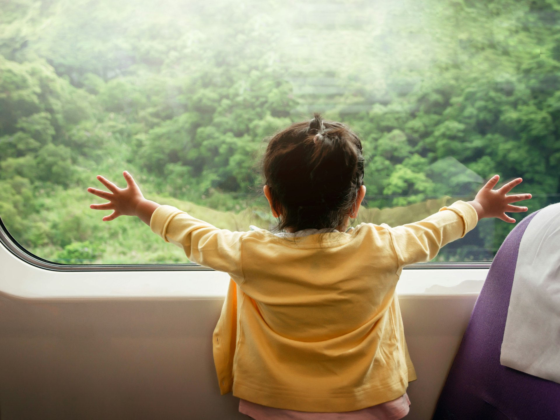 A young child with arms outstretched stares out of a train window at the passing tree-covered landscape