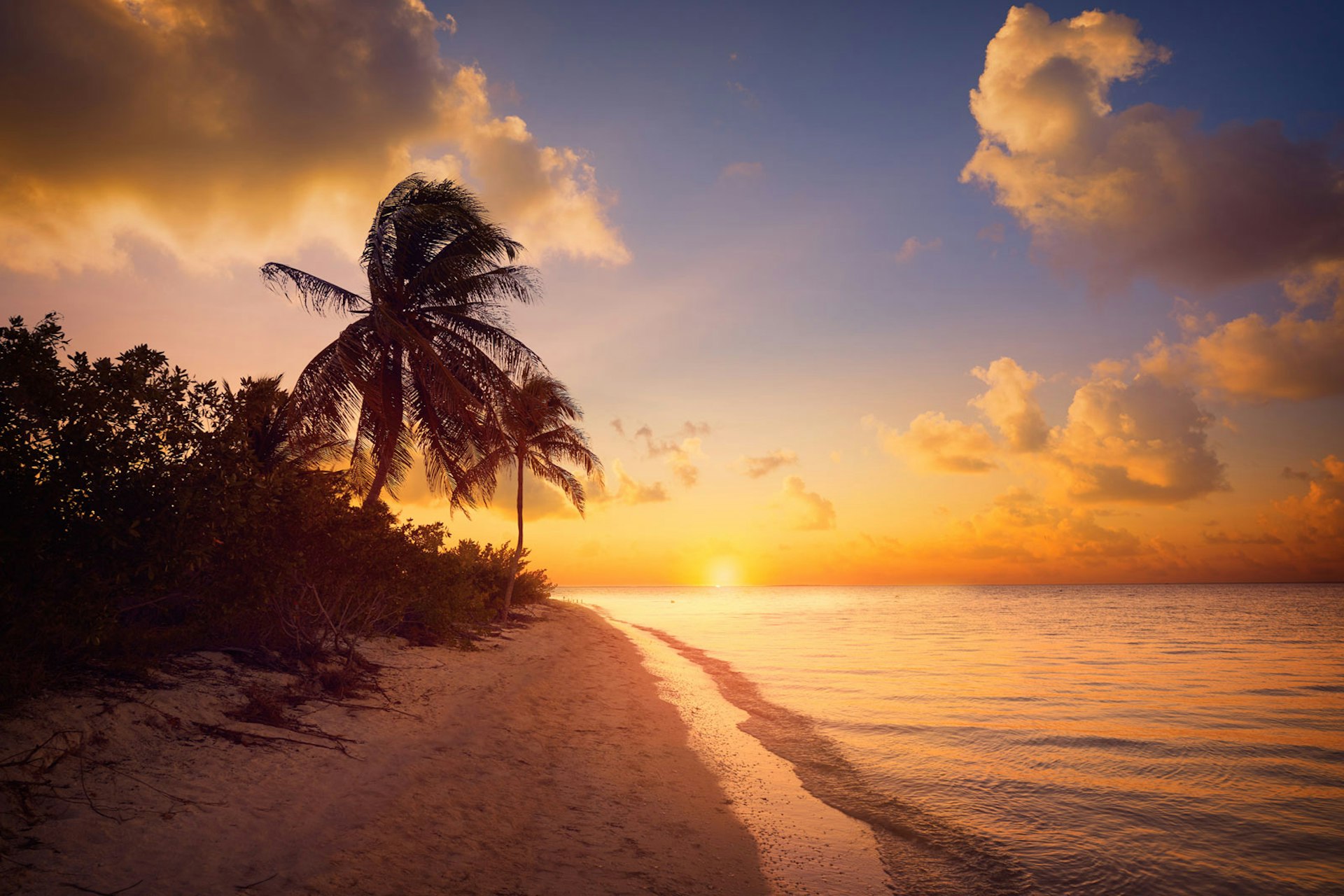 The sun casts golden light on a palm lined beach