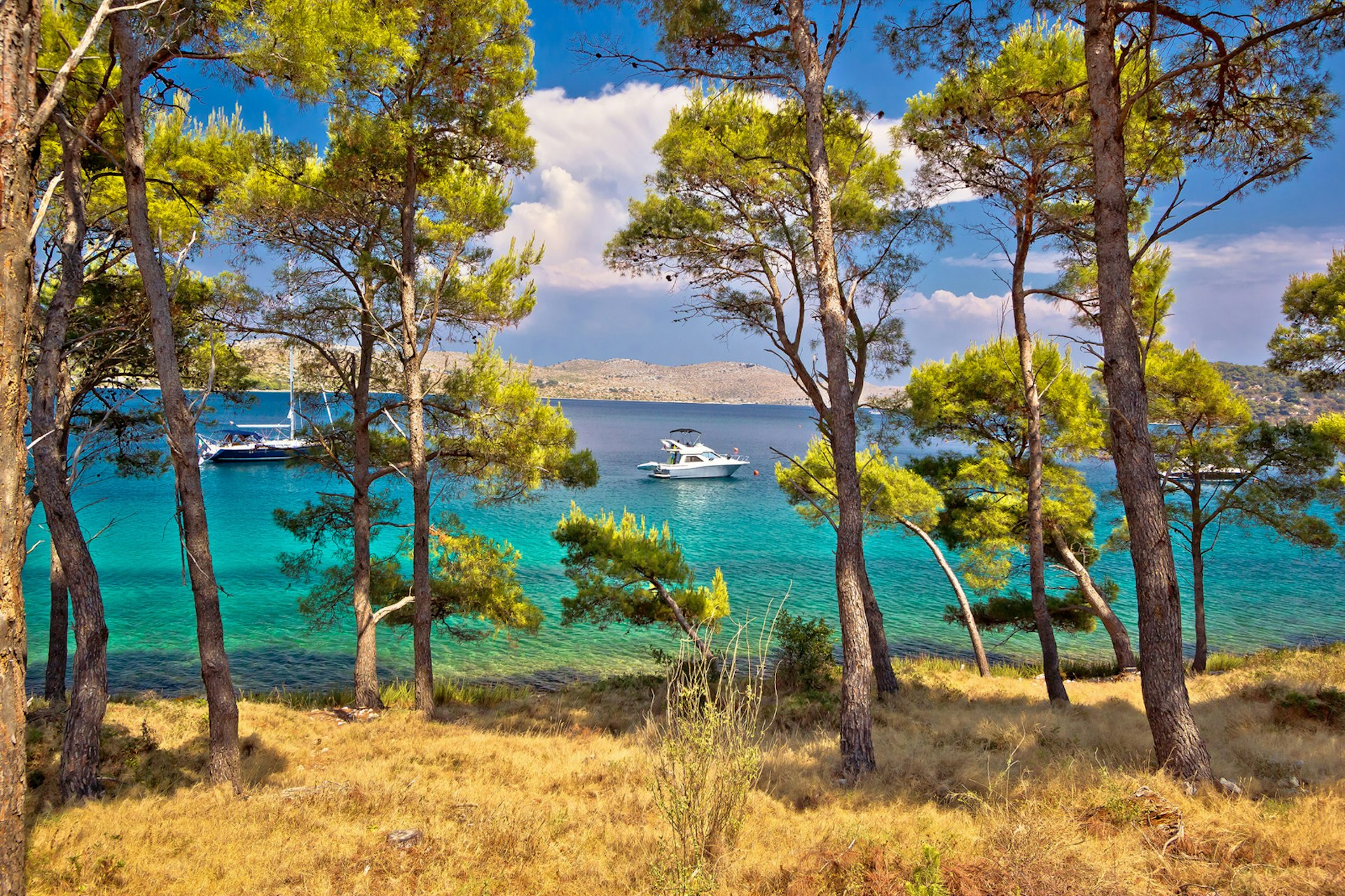 Trees and boats in Nature Park Telašćica, yachting destination of Dugi Otok island, Dalmatia, Croatia