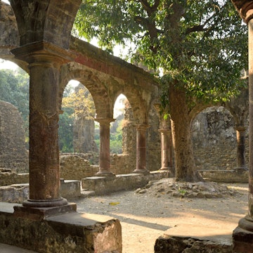 Features - shutterstock_1138248974-1-0a981301bbf4