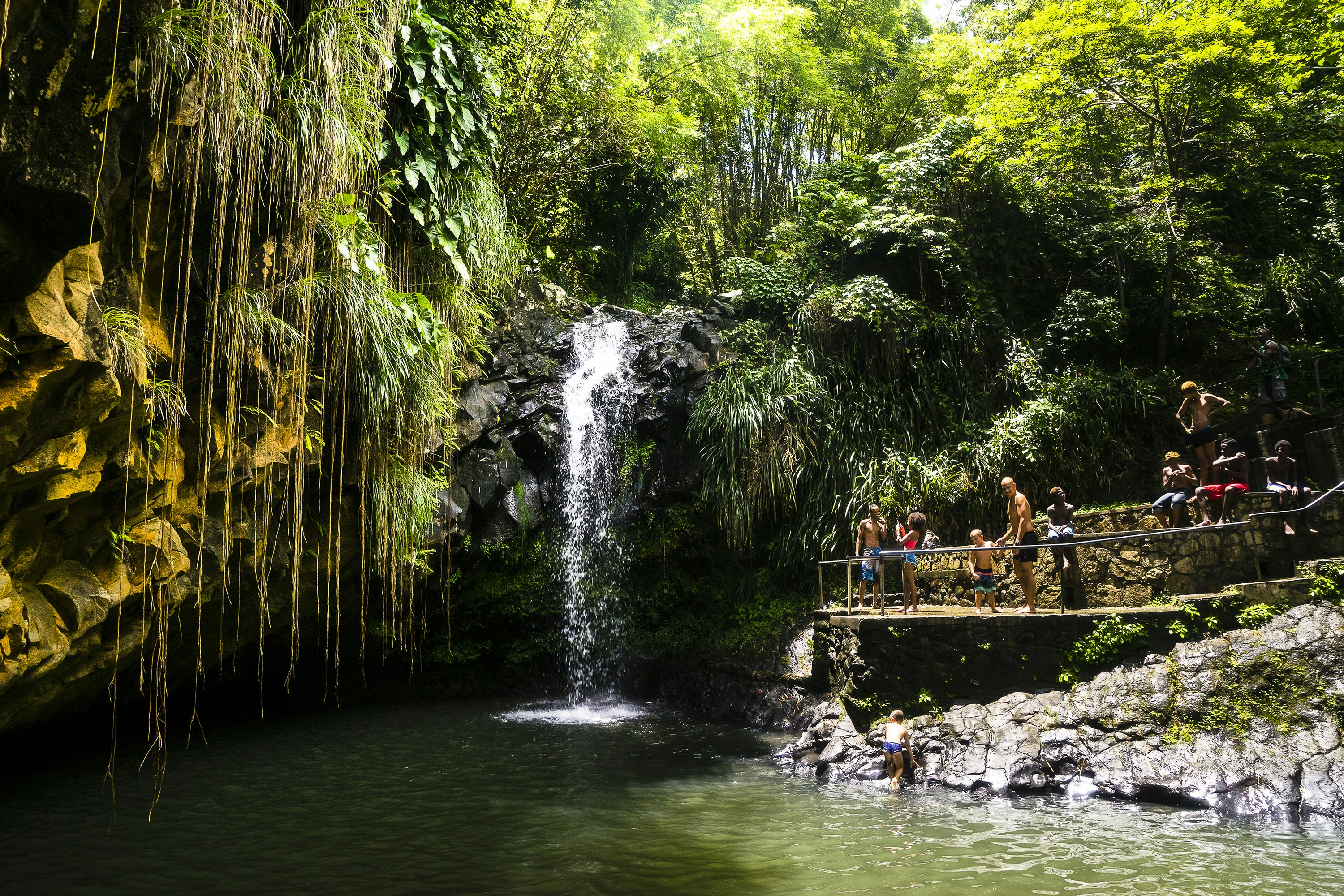 Features - A group of persons in front of the Annandale Falls, Grenada, West Indies