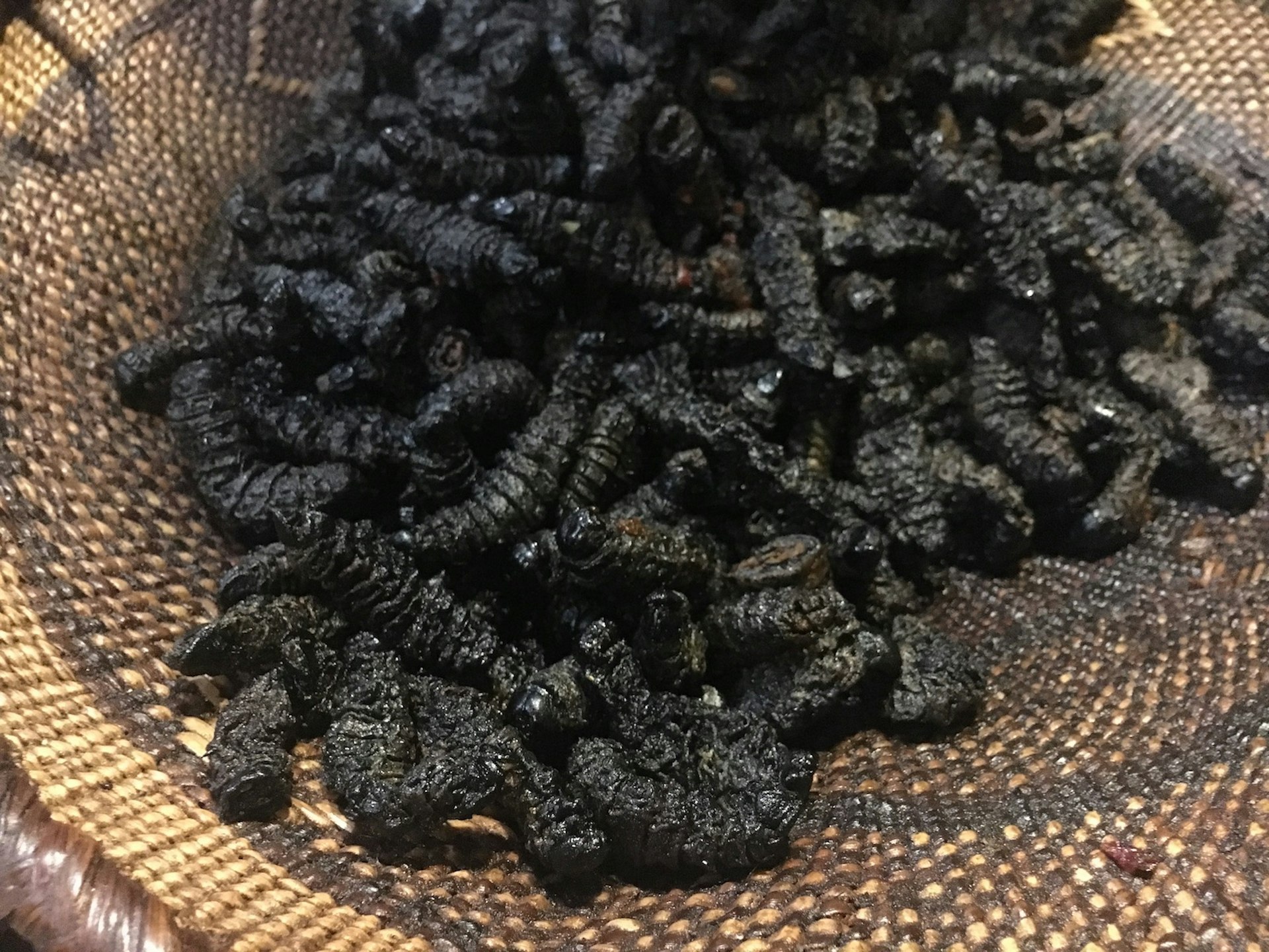 Dried mopane worms