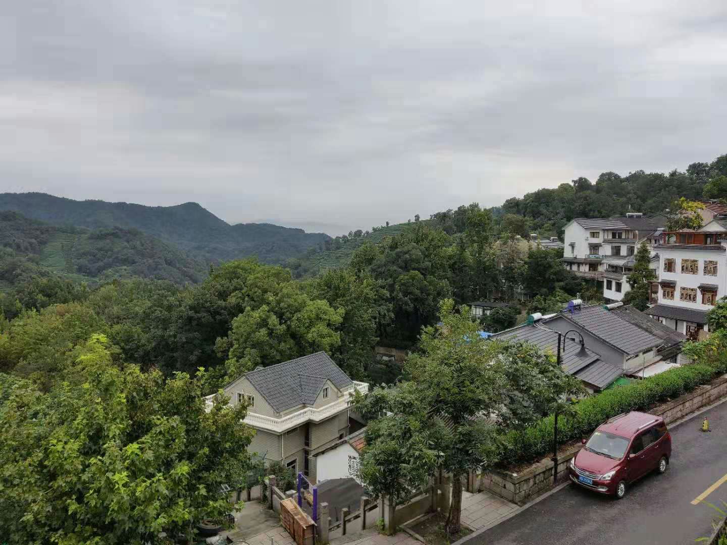 A view down to several houses along a street and towards mountains with tea bushes beyond