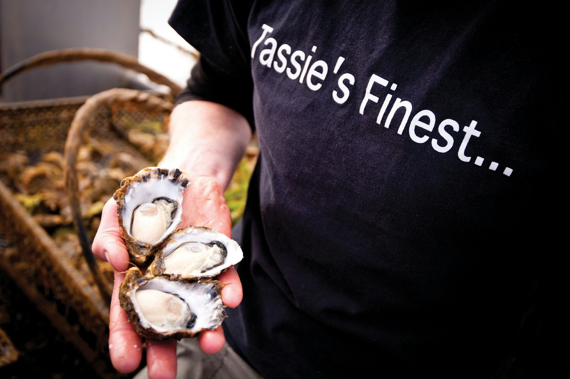 Slurp back oysters straight from the sea at Get Shucked