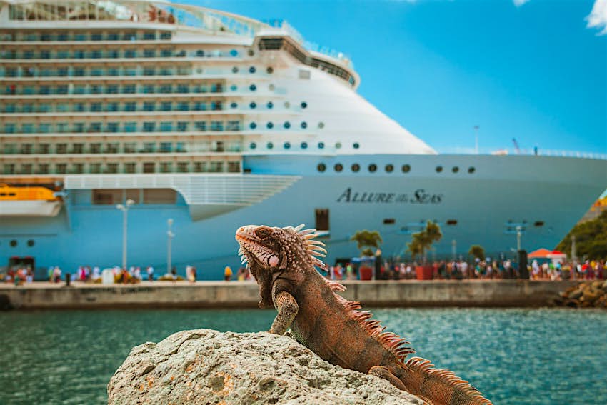 Royal Caribbean cruise ship Allure of the Seas docked at port with a sea iguana in the foreground