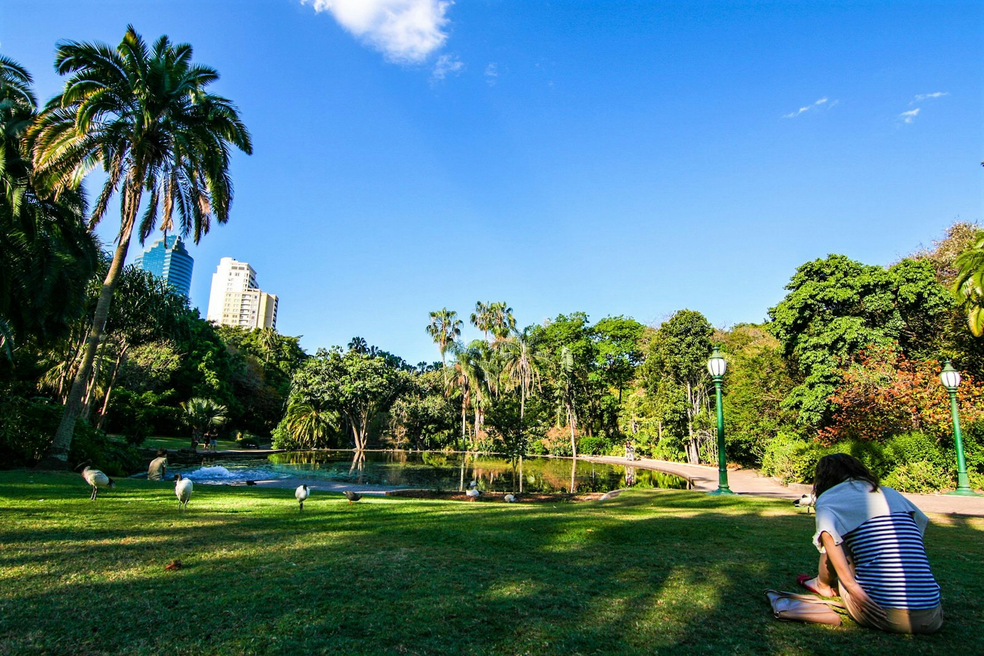 City Botanic Gardens, Brisbane