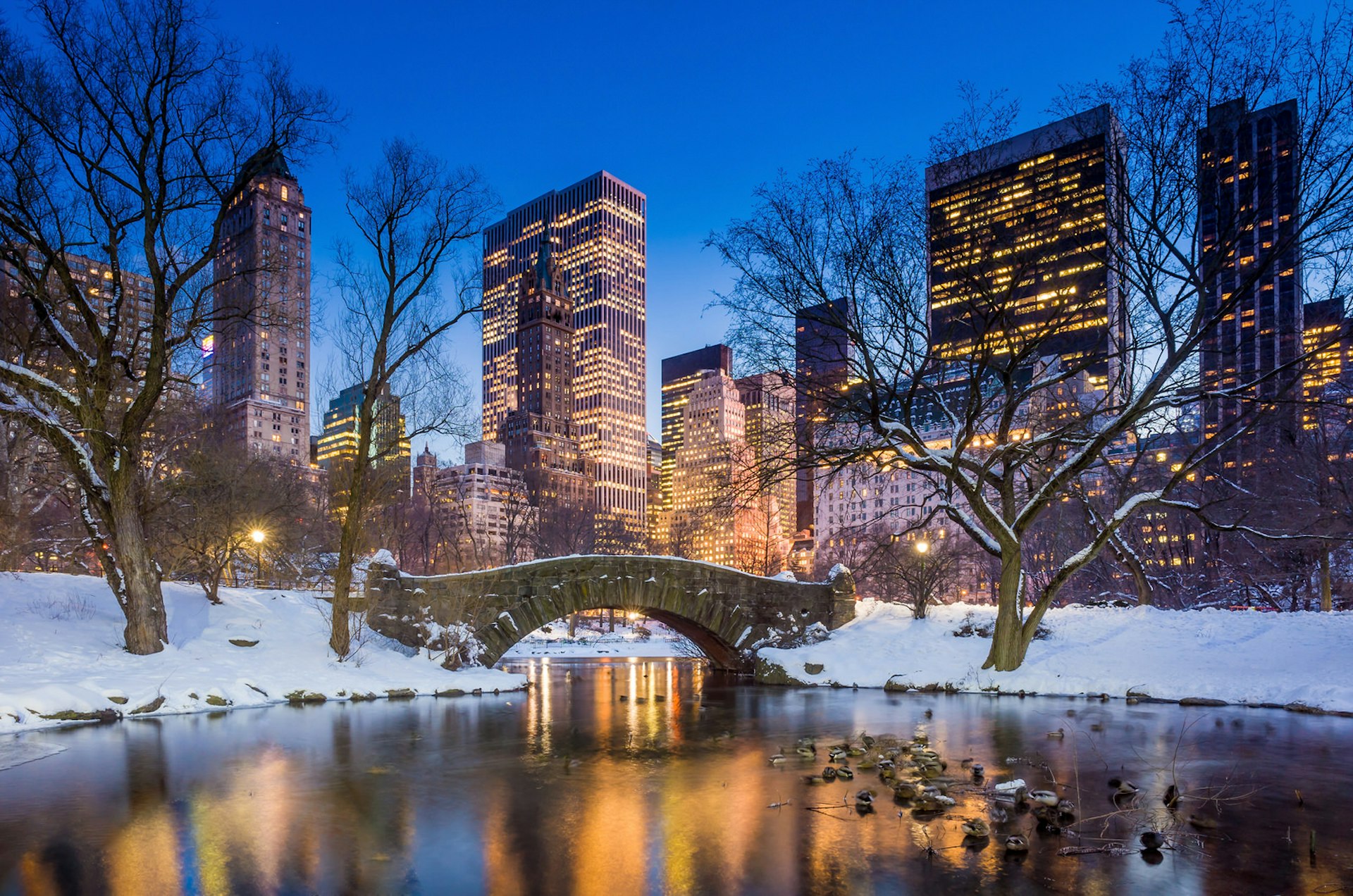 Central Park in New York at night. A layer of snow covers the ground and skyscrapers are visible in the background