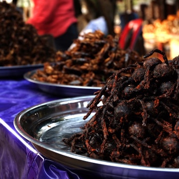 Features - shutterstock_601257788-copy-a53bb0f85235