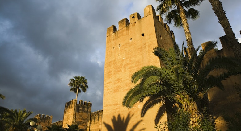 Features - Morocco, Souss Valley, Taroudant, Hotel Palais Salam Palace with palm trees, exterior
