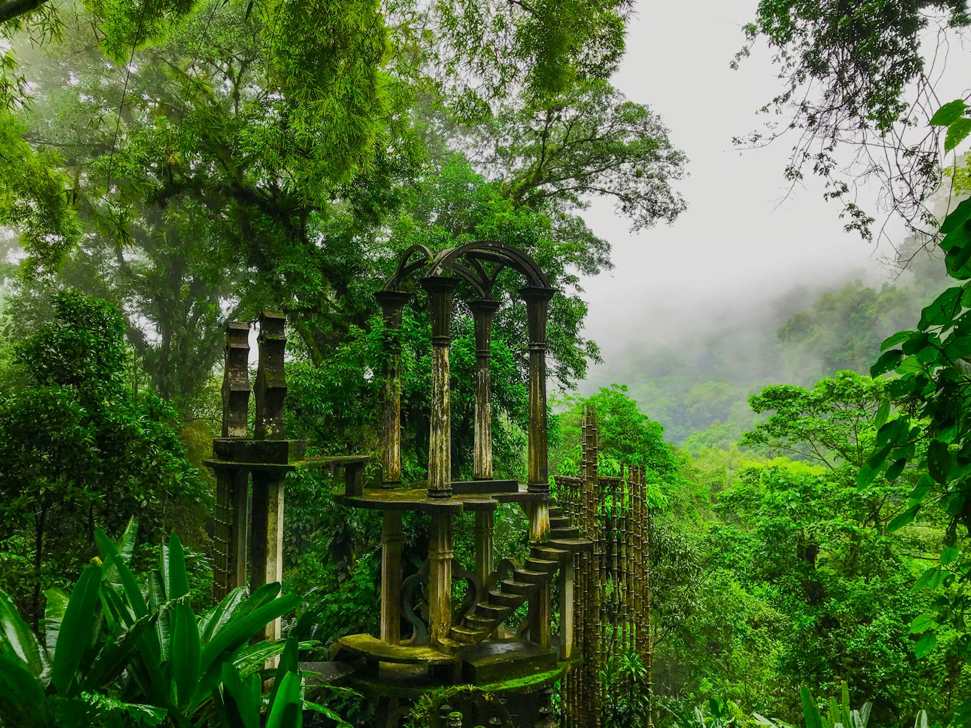 A stone staircase ends at the tops of trees on a verdant hillside
