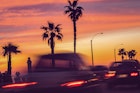 Features - Silhouette Palm Trees On Street Against Sky During Sunset