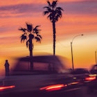 Features - Silhouette Palm Trees On Street Against Sky During Sunset