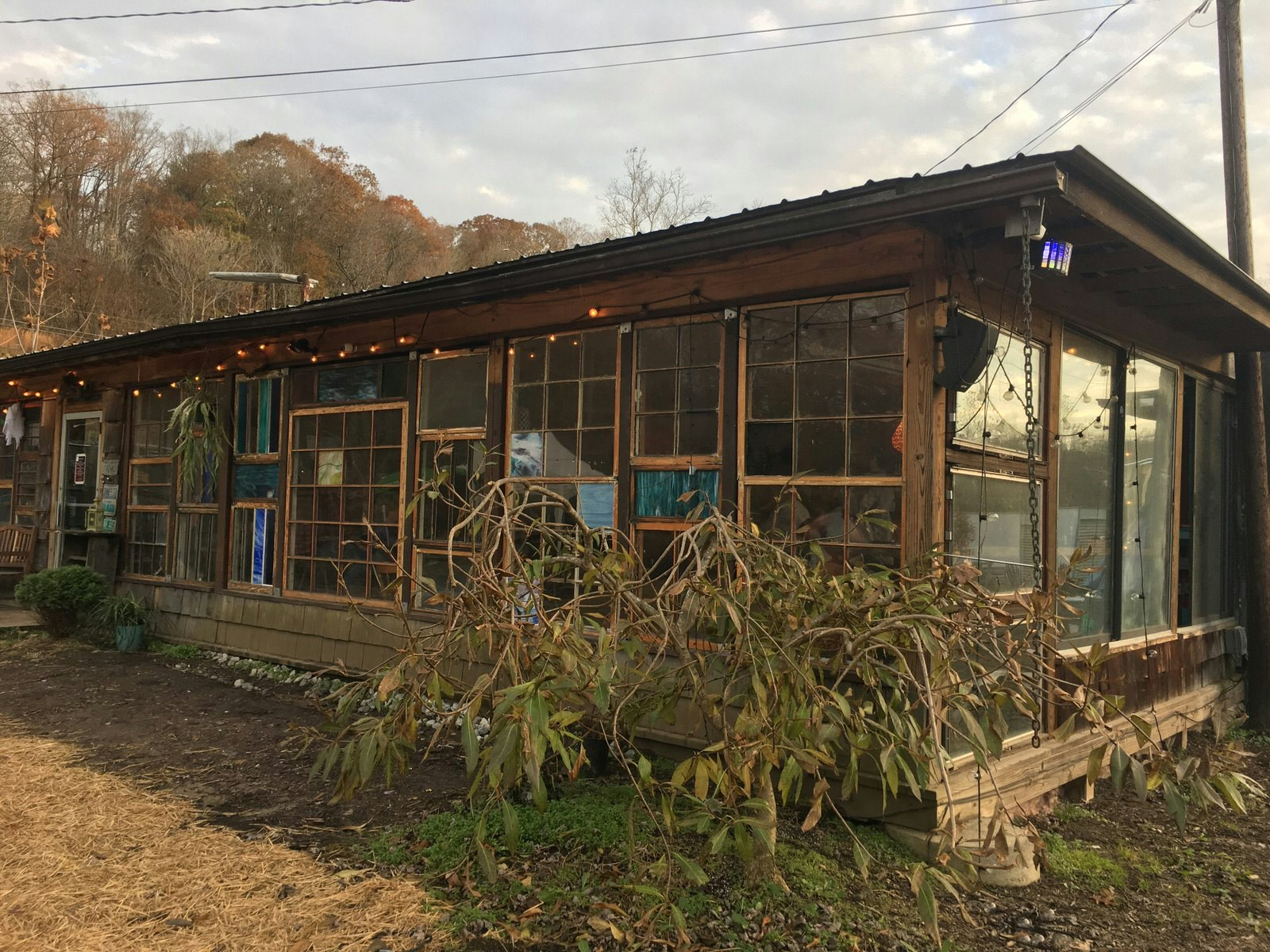 A dingy-looking one-story building with grimy window panels, with untended shrubbery in front of it and a string of lightbulbs strung above its window frames; this is The Bywater, a local favorite music venue in Asheville, North Carolina.