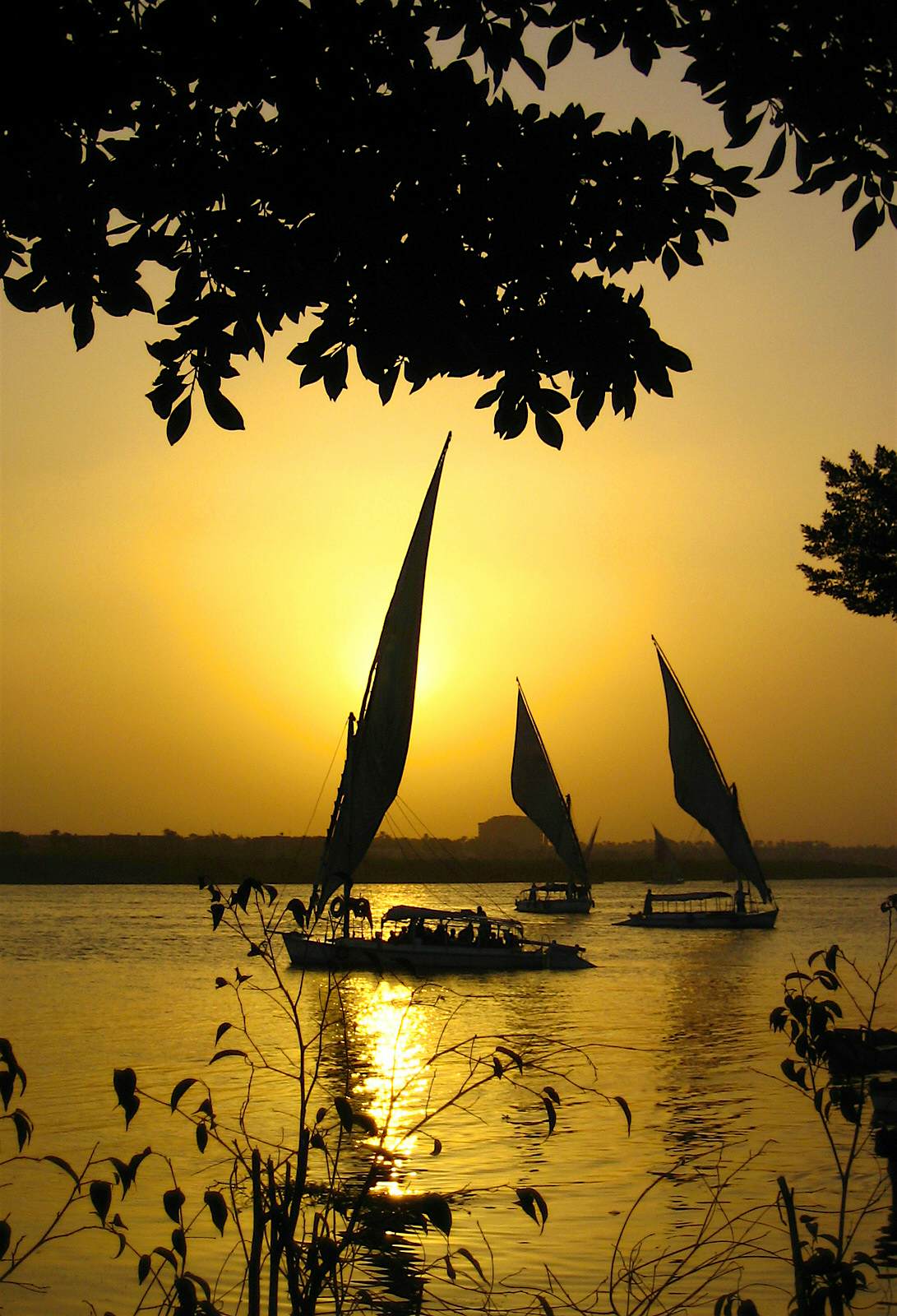 Sailing at sunset on the Nile near Cairo