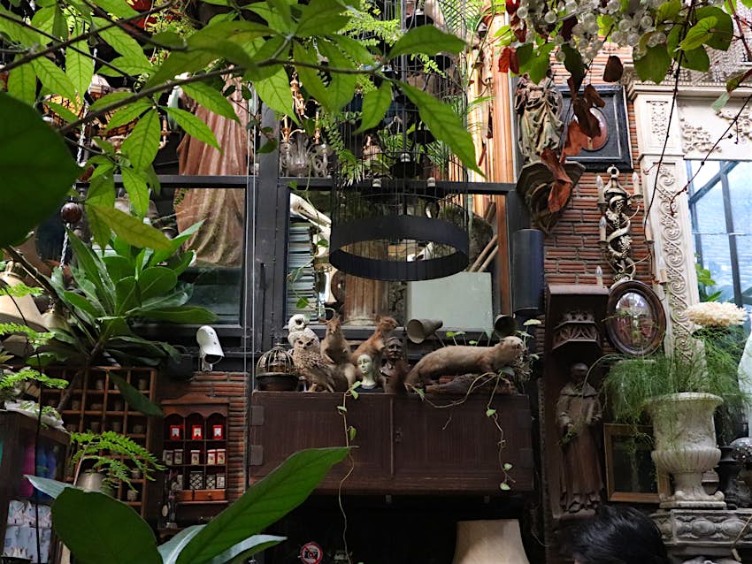 Interior of Puritan cafe in Ari district, a greenhouse-style shack filled with antiquities
