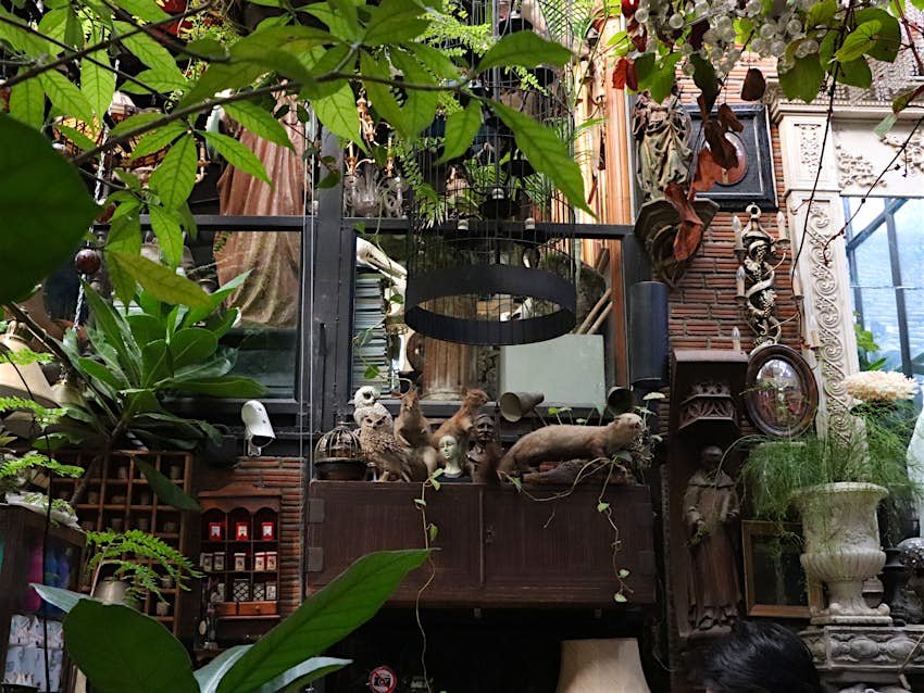 Features - Bangkok-Ari-Puritan-dae2790759c6 Interior of Puritan cafe in Ari district, a greenhouse-style shack filled with antiquities