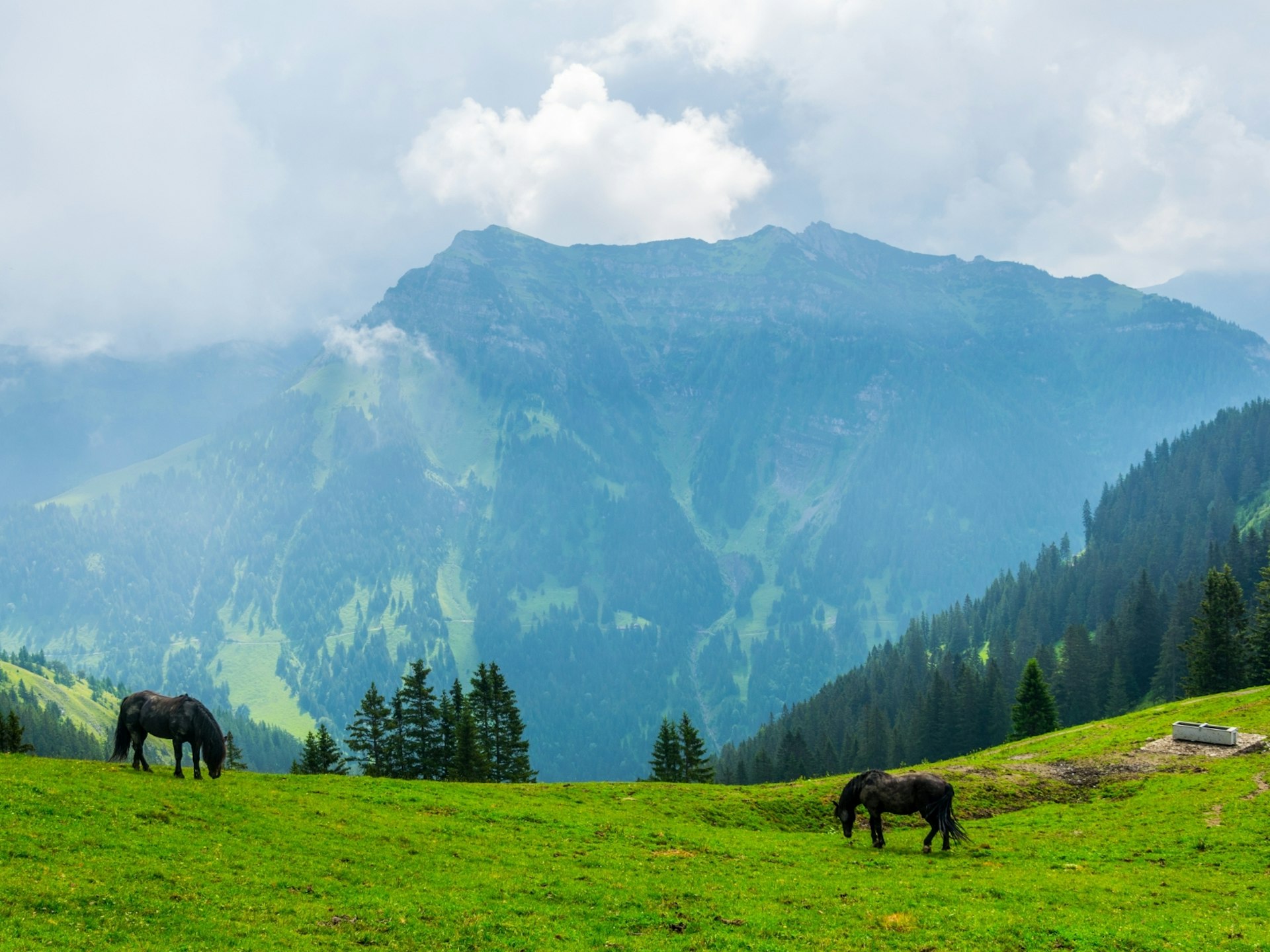 The famous Fürstensteig hiking trail is a rite of passage for Liechtensteiners