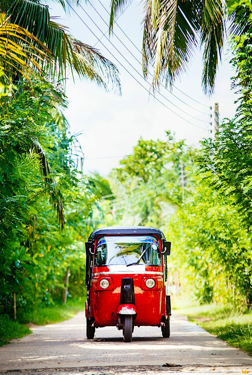 Red tuk-tuk under palm trees on a country road 