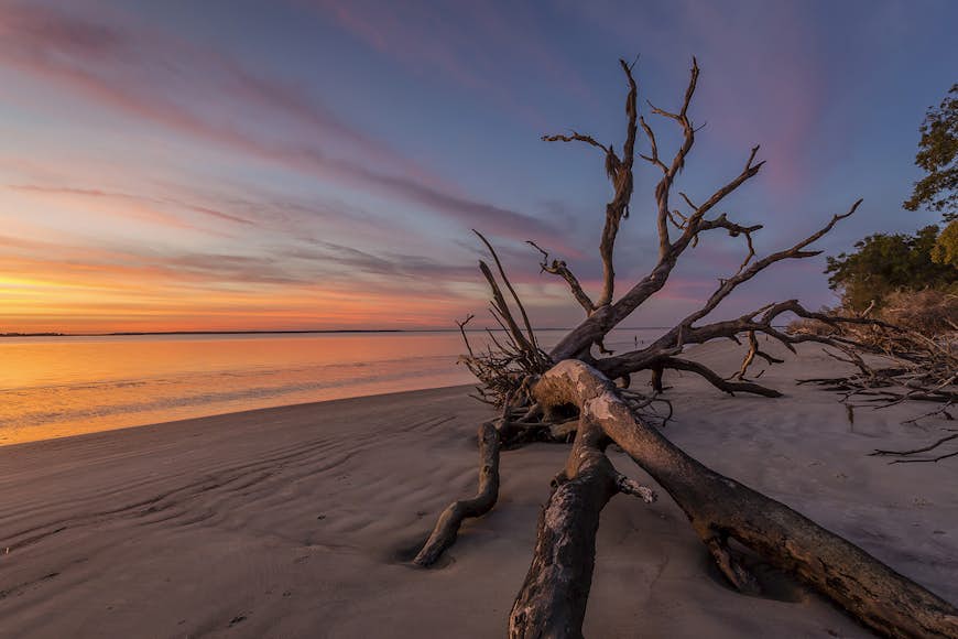 Fallen tree trunk on a beach at dawn - Jekyll Island, Georgia, United States; Best US destinations for winter sun