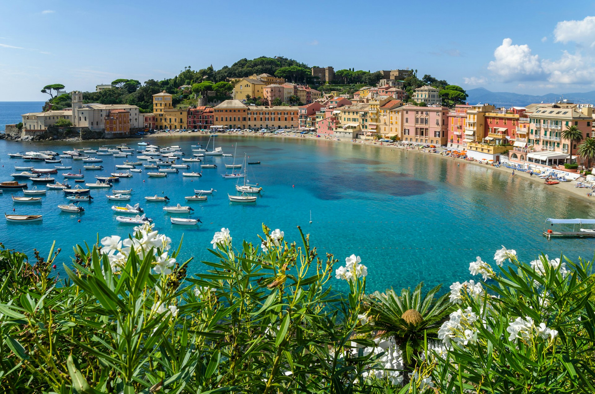A view over Sestri Levante's Baia del Silenzio, with flowering bushes in the foreground and about 30 small white boats on the turquoise water. The bay is almost a perfect semi-circle, behind the thin strip of white sand there are buildings painted in warm colours and vibrantly green trees. 