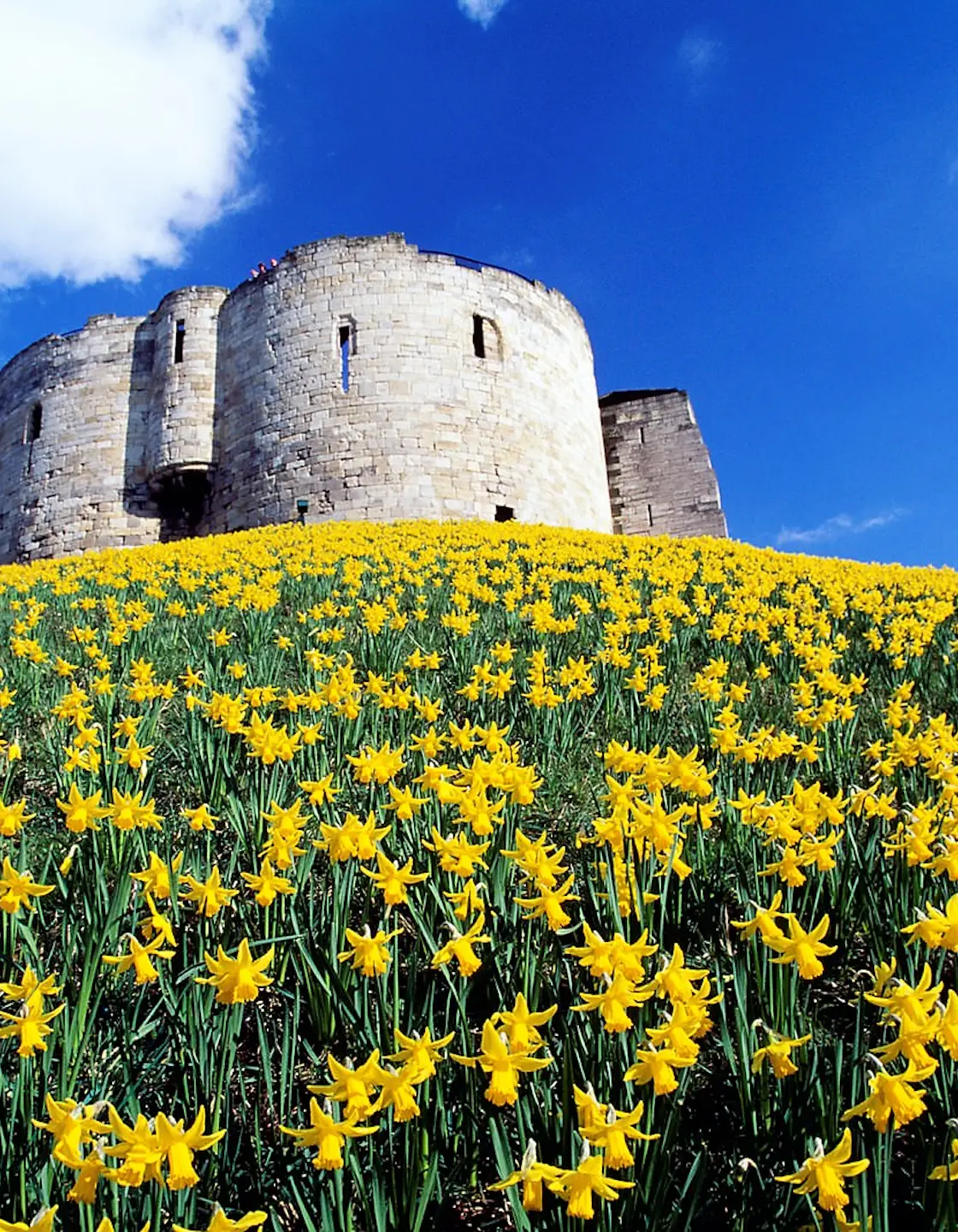 Yorkshire Travel Lonely Planet England Europe yorkshire-travel-lonely-planet-england-europe