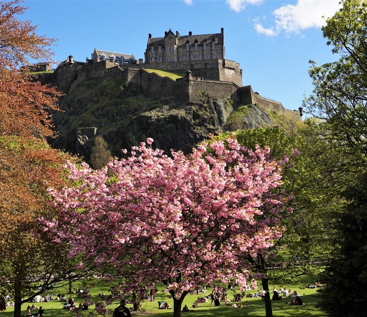 Edinburgh Castle with some spring cherry blossom in the park beneath it