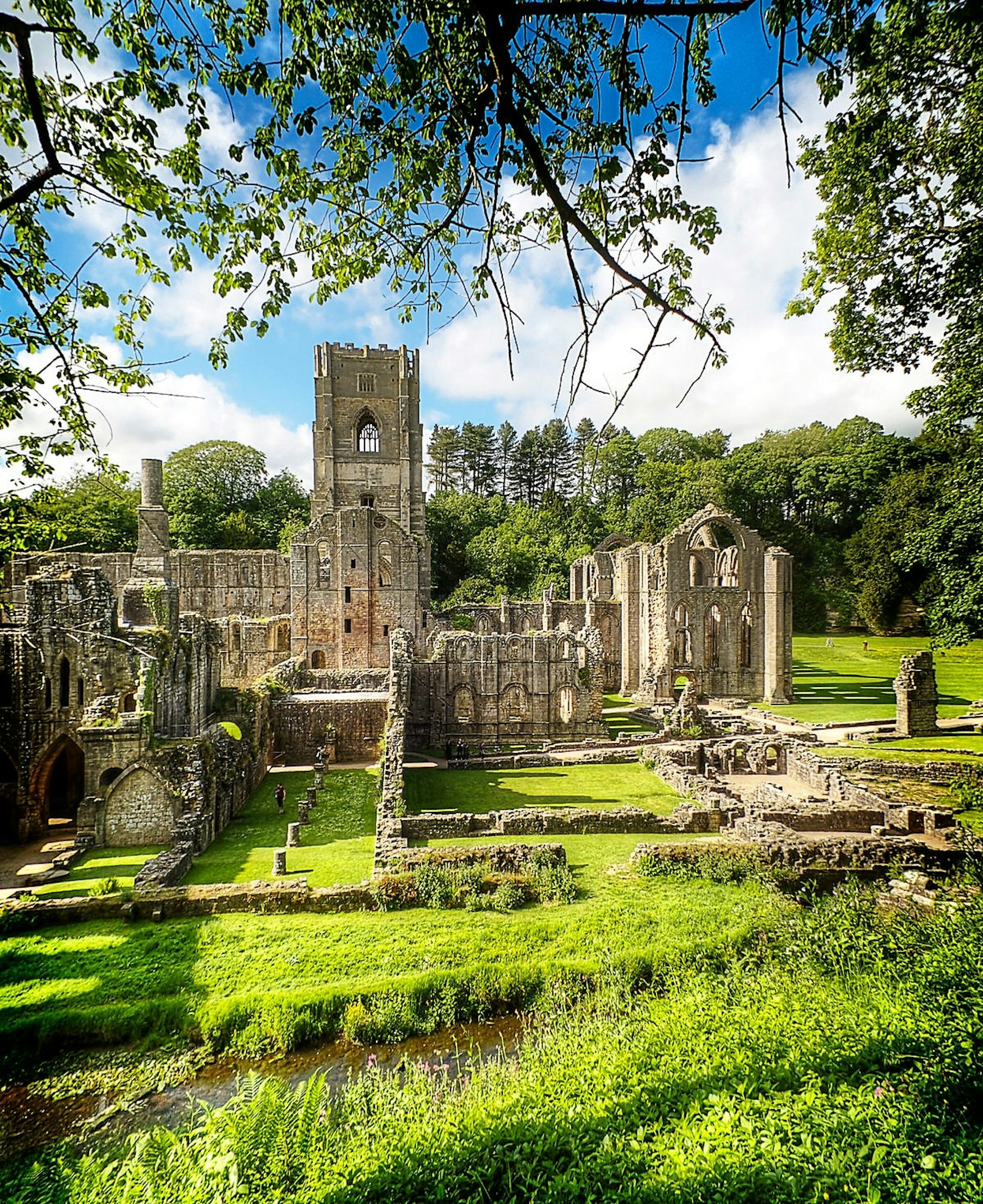 The ruins of Fountains Abbey are set within a wooded valley.