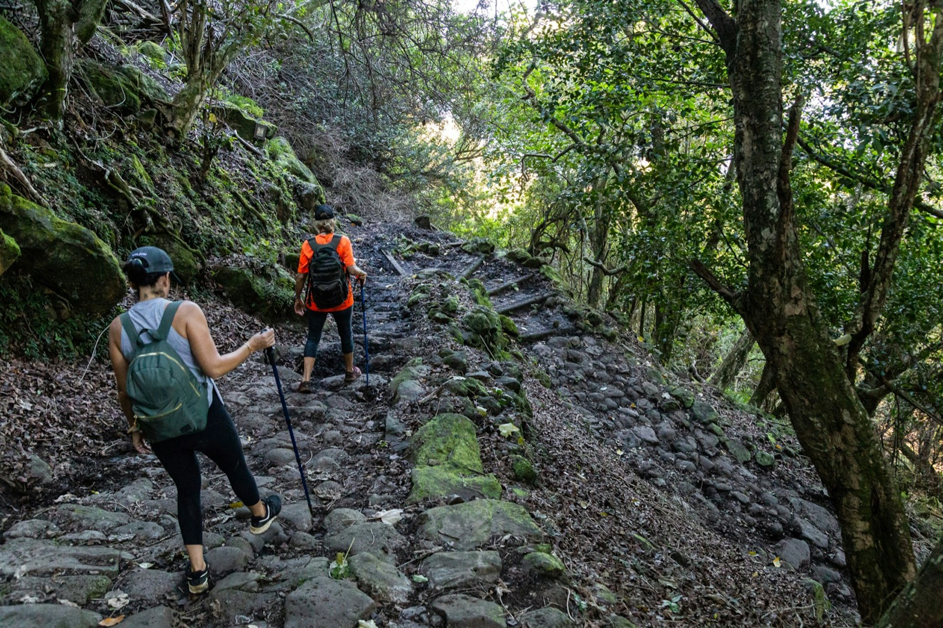 A steep, stony switchback curves down a tropical jungle cliff as two hikers descend to the Kalaupapa peninsula.